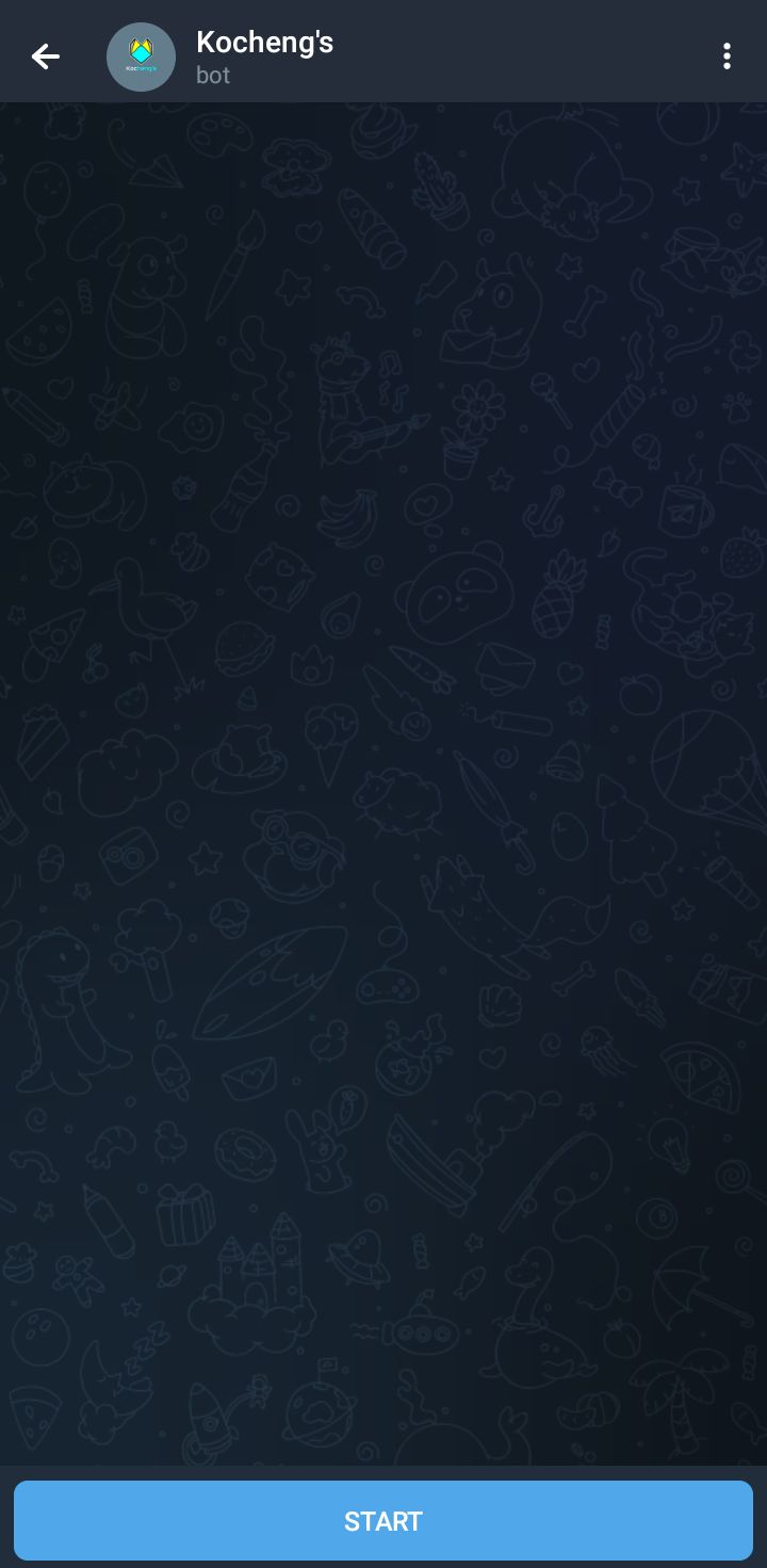 Starting the Telegram bot